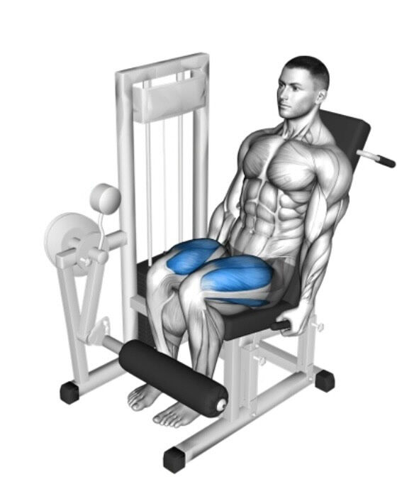 BASEGYM24自慢のマシン、レッグエクステンションのご紹 | ブログ