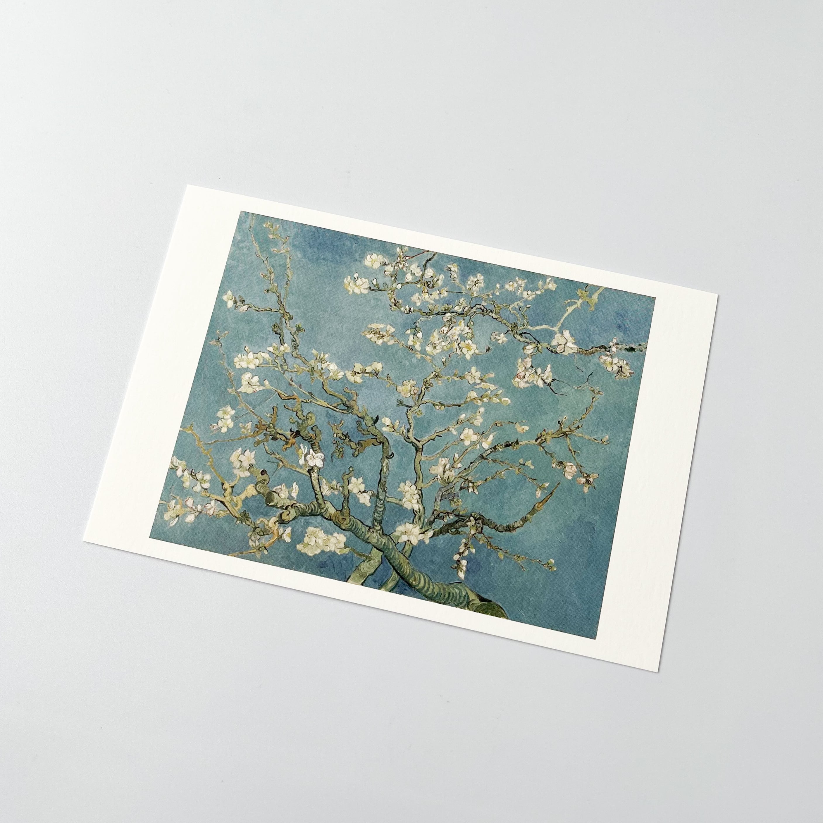 ゴッホ アートポストカード 花咲くアーモンドの木の枝 | hmm, by 東京