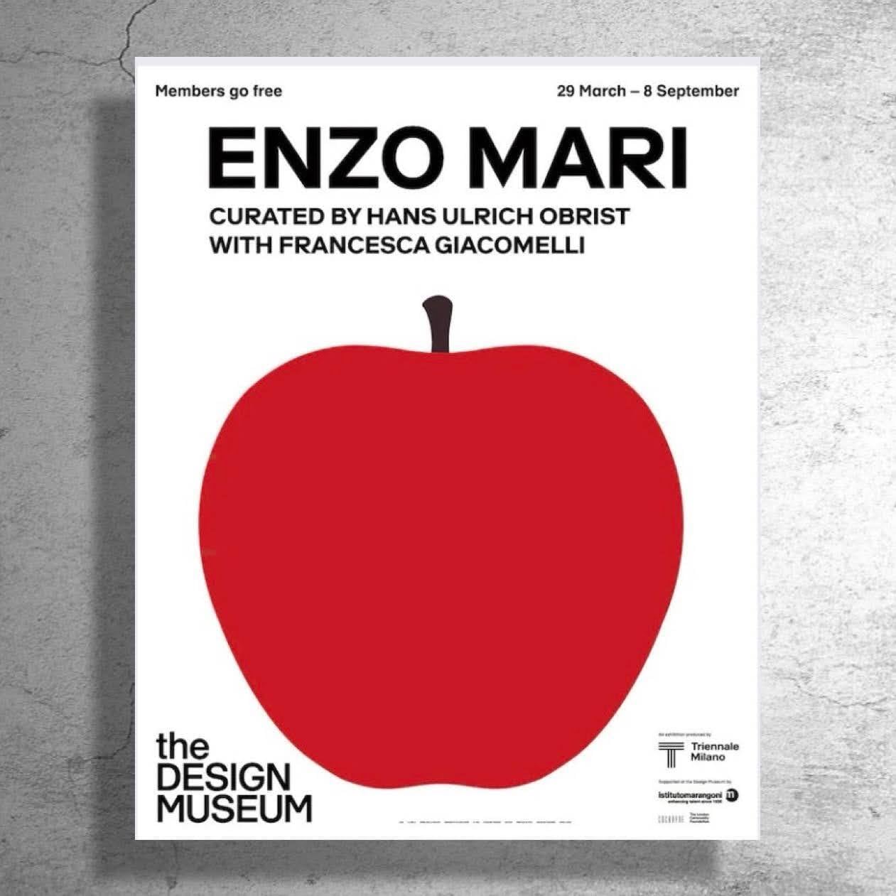 EnzoMari エンツォ・マーリ 赤いリンゴのアート 特大ポスターフレーム