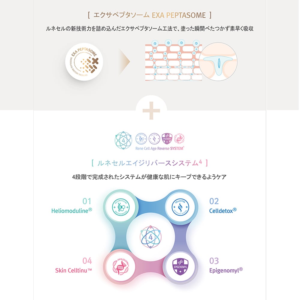 Rene-Cell】ルネセル アブソーバーダーマル リカバリーセラム 30ml