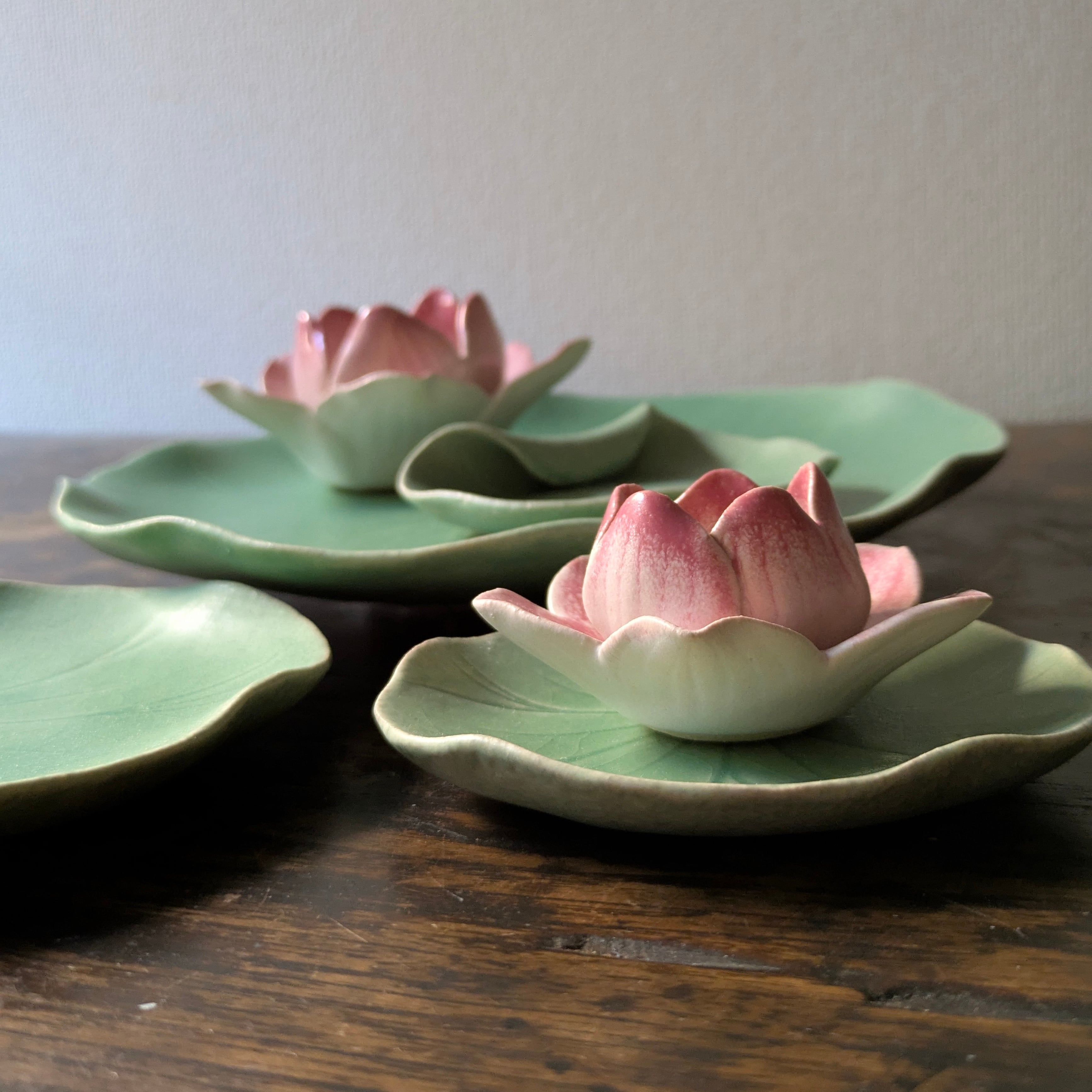 25夏】Lotus 蓮の葉小皿 くるり(幅 11.5 cm) | TSUNE;田中恒子の器