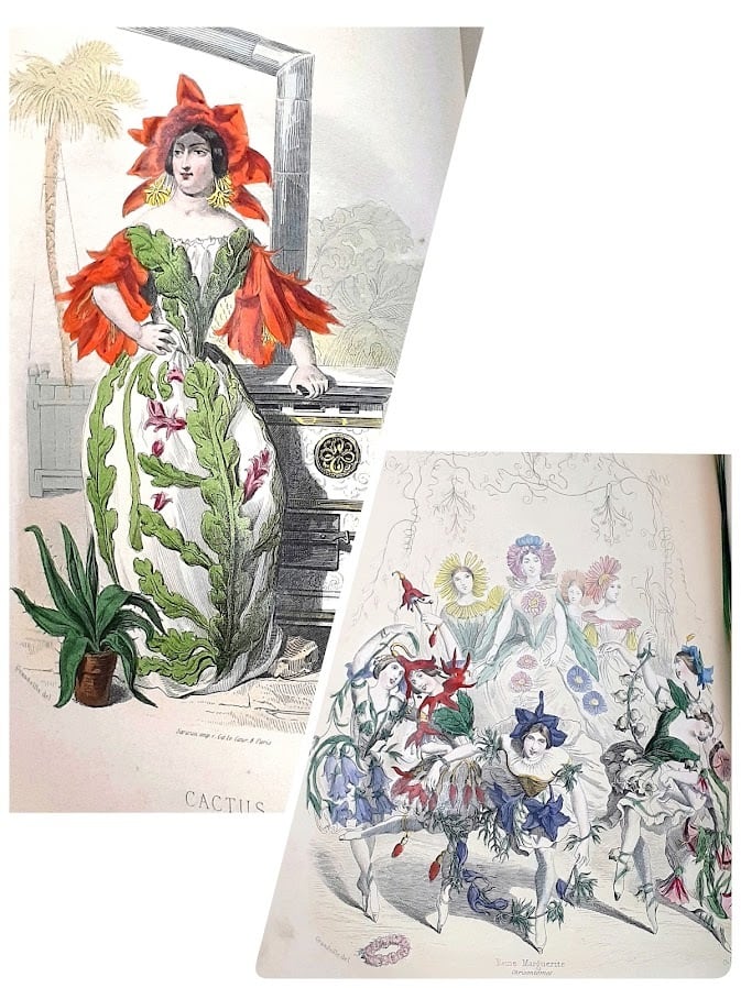 天才挿絵画家グランヴィル 【フルールアニメ 花の幻想】 希少な2冊組
