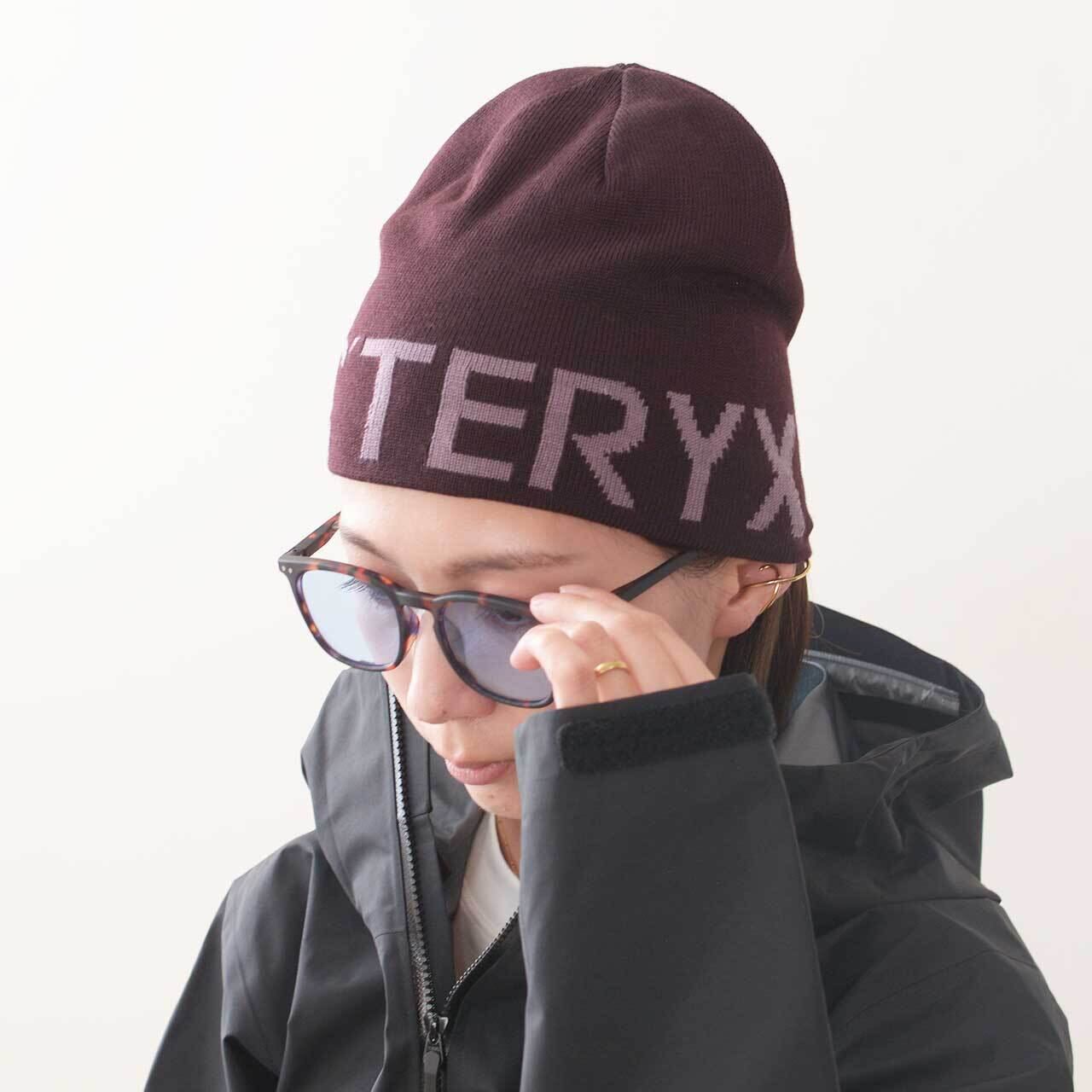 ARC'TERYX [アークテリクス] Word Head Toque [X000007590] ワード