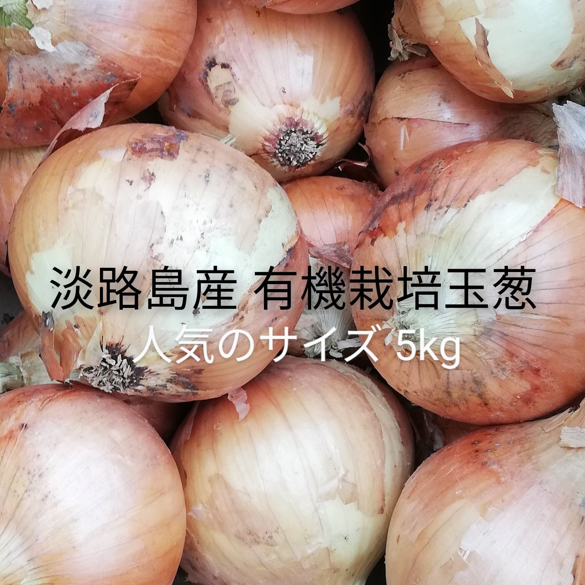 有機栽培玉葱 5kg 淡路島産 JAS認定 オーガニックはなたま たまねぎ
