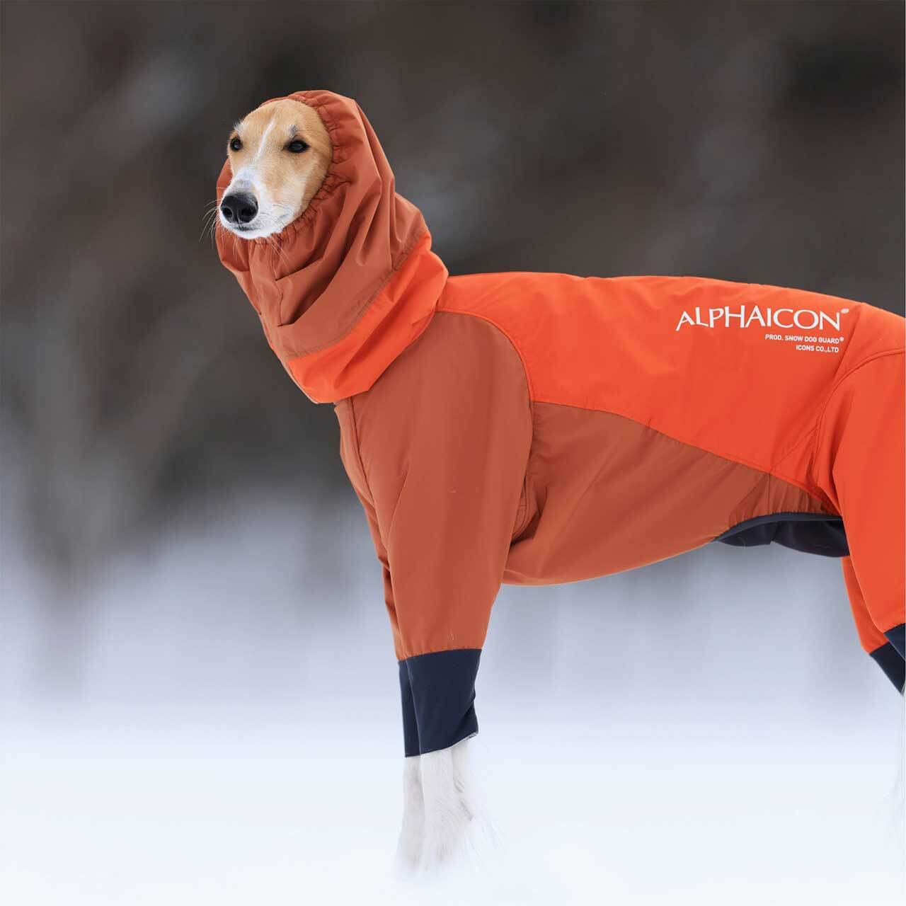 ALPHAICON [アルファアイコン] SNOW DOG GUARD [24SDG] スノードッグ