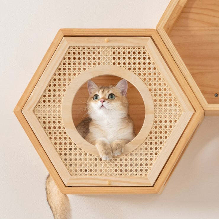 六角ハウスカバー 自然の屏 COVER RATTAN(六角ハウスオプション)-MYZOO