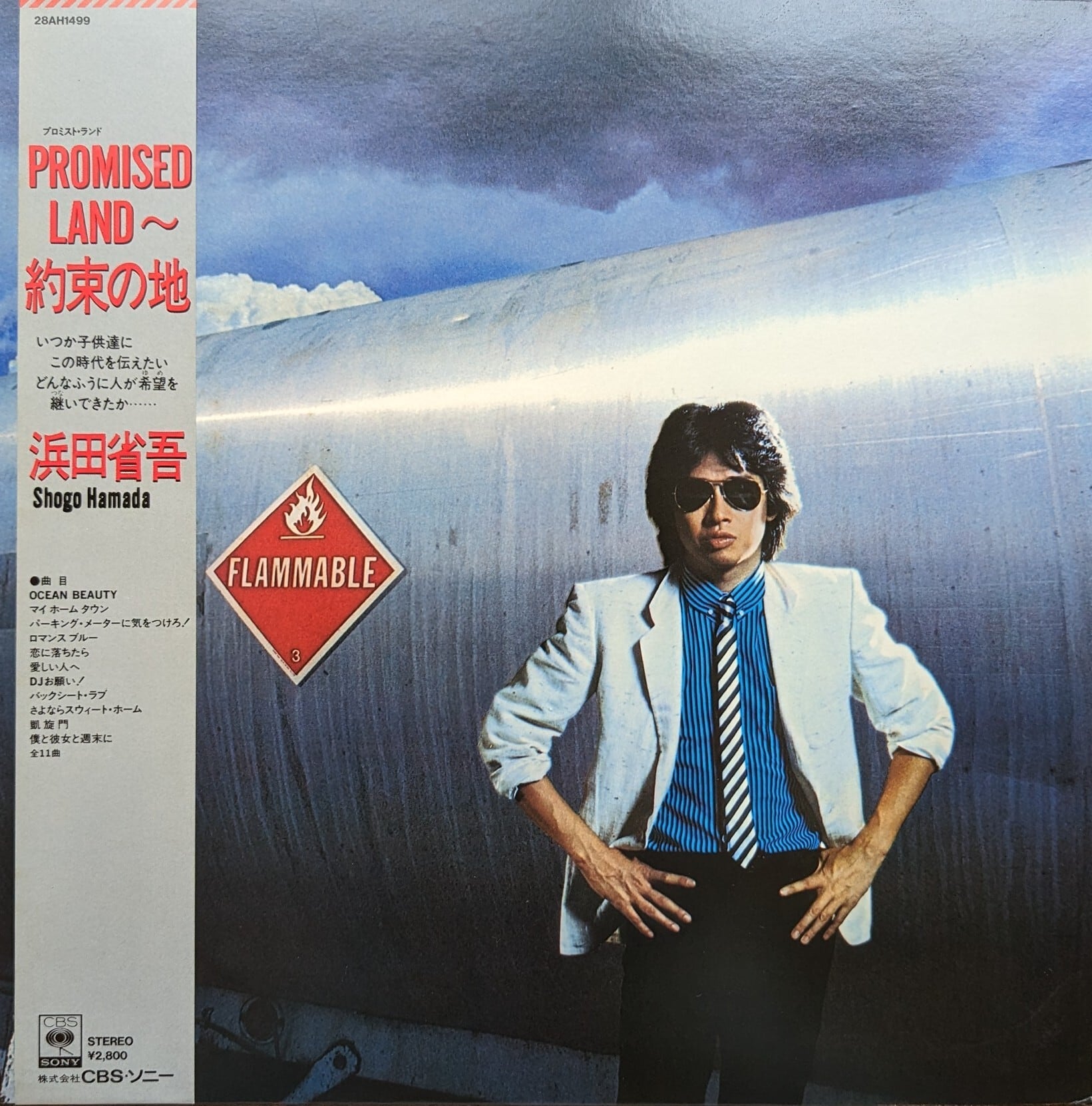 浜田省吾「PROMISED LAND〜約束の地」：LPレコード | 音とこだま