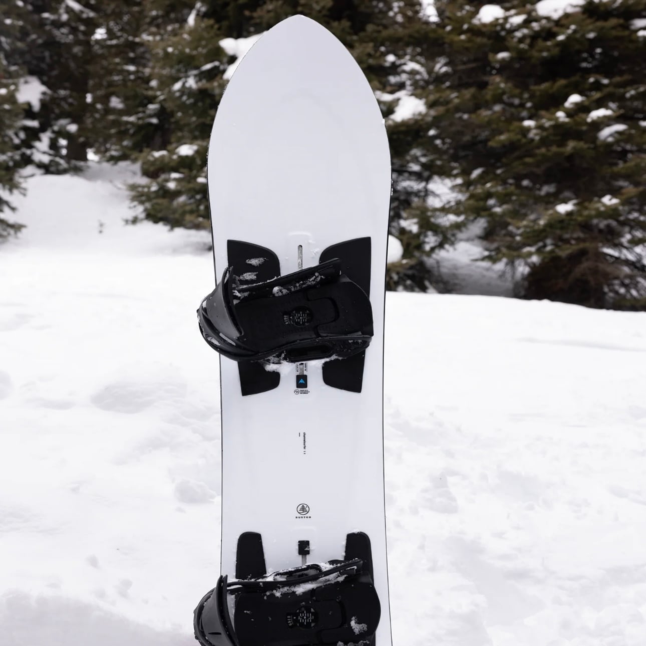 24-25モデル . BURTON . FAMILY TREE .『3D CHANNEL SURFER