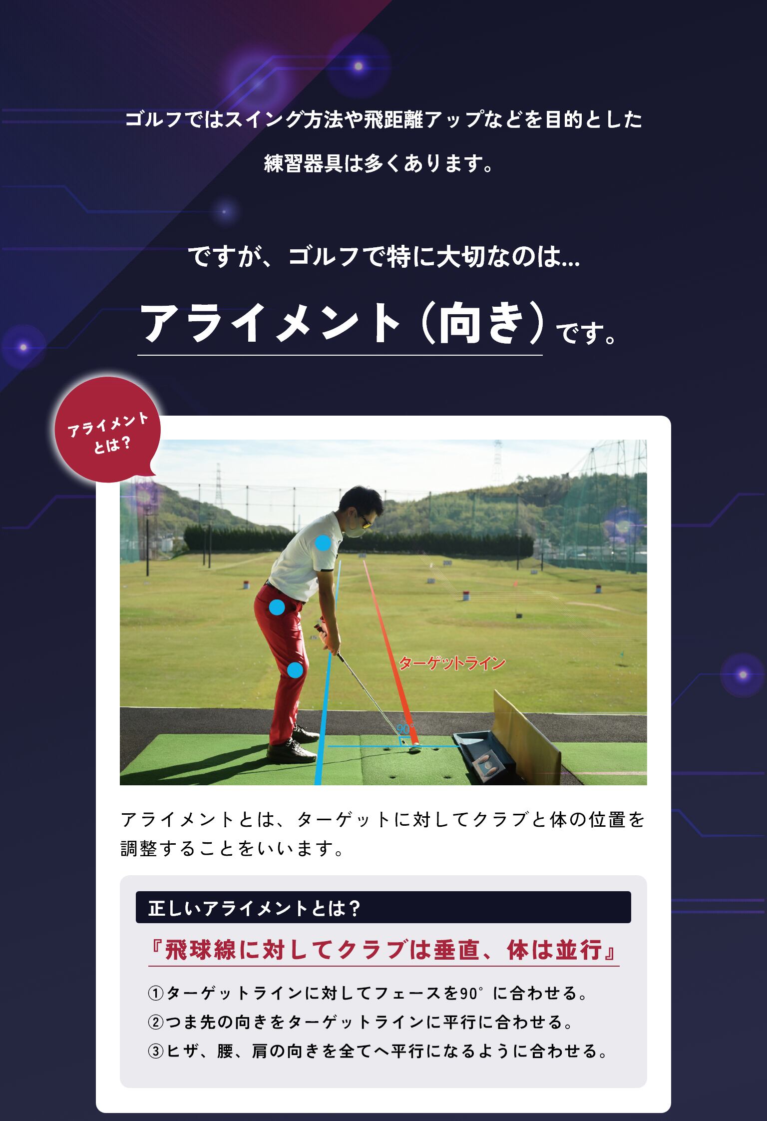 Aiming View（エイミングビュー） | TERA-YOU-GOLF-STUDIO STORE
