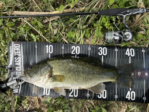 ダイワ スティーズリアルコントロールS63UL-SVインプレ | バス釣り