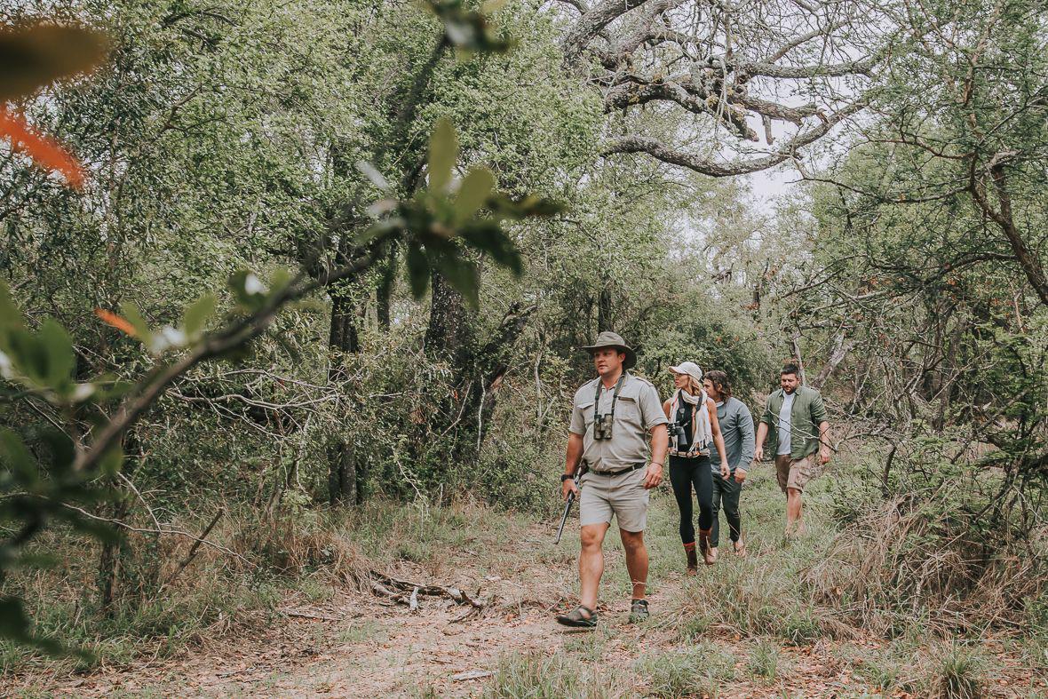 Guided Bush Walks - Waterbuck Game Lodge