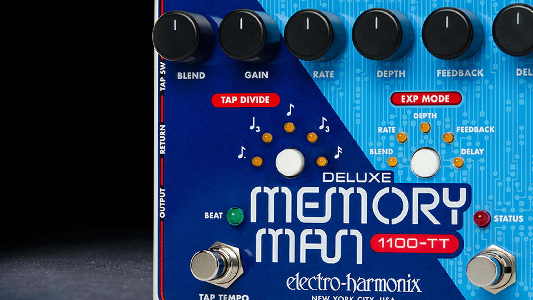 Deluxe Memory Man 1100-TT | DISCONTINUED 2025 | Analog Delay with