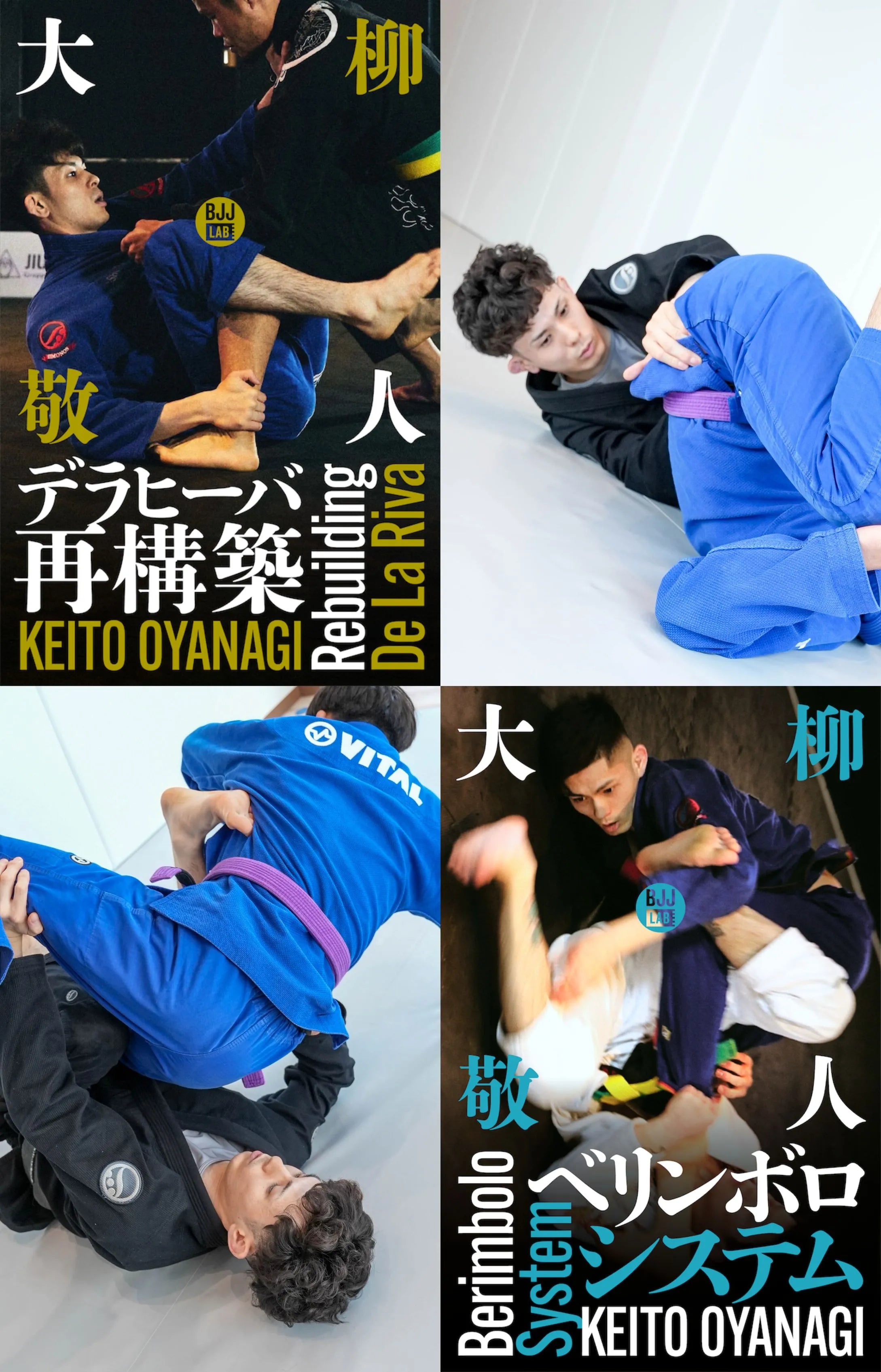 BJJ LAB Videos – BJJ LAB Online Store