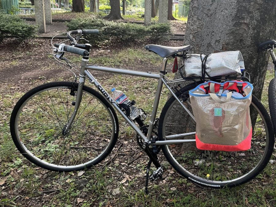 SURLY* nice rack rear (silver) - BLUE LUG GLOBAL ONLINE STORE