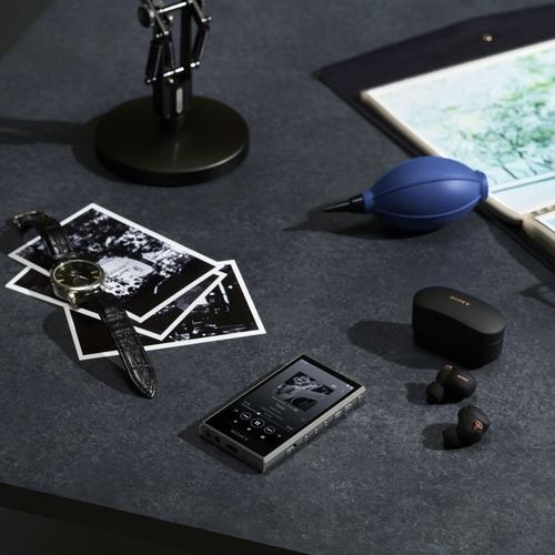 ソニー NW-A306 H ウォークマン ハイレゾ音源対応 WALKMAN A300
