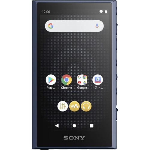 ソニー NW-A306 L ウォークマン ハイレゾ音源対応 WALKMAN A300