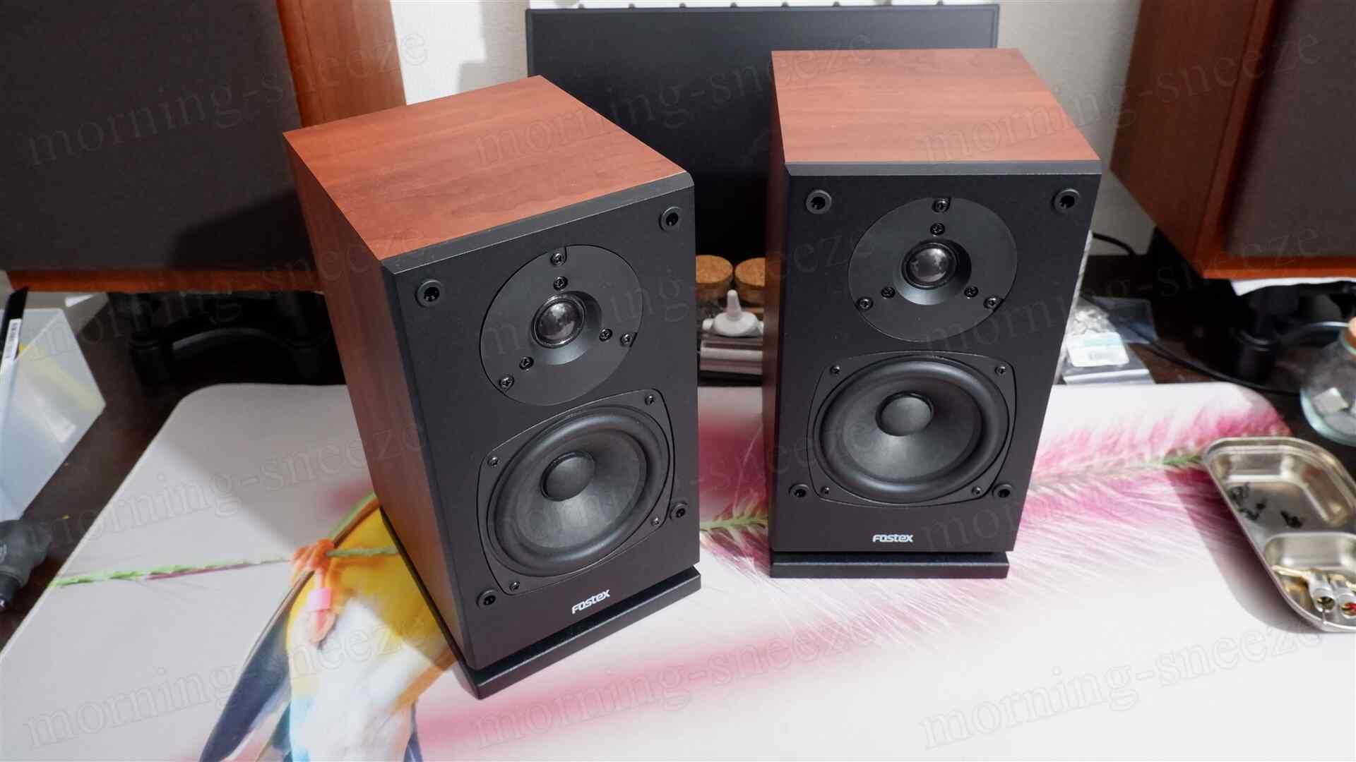 FOSTEX P804-S をチューンアップする - いつか消える文章