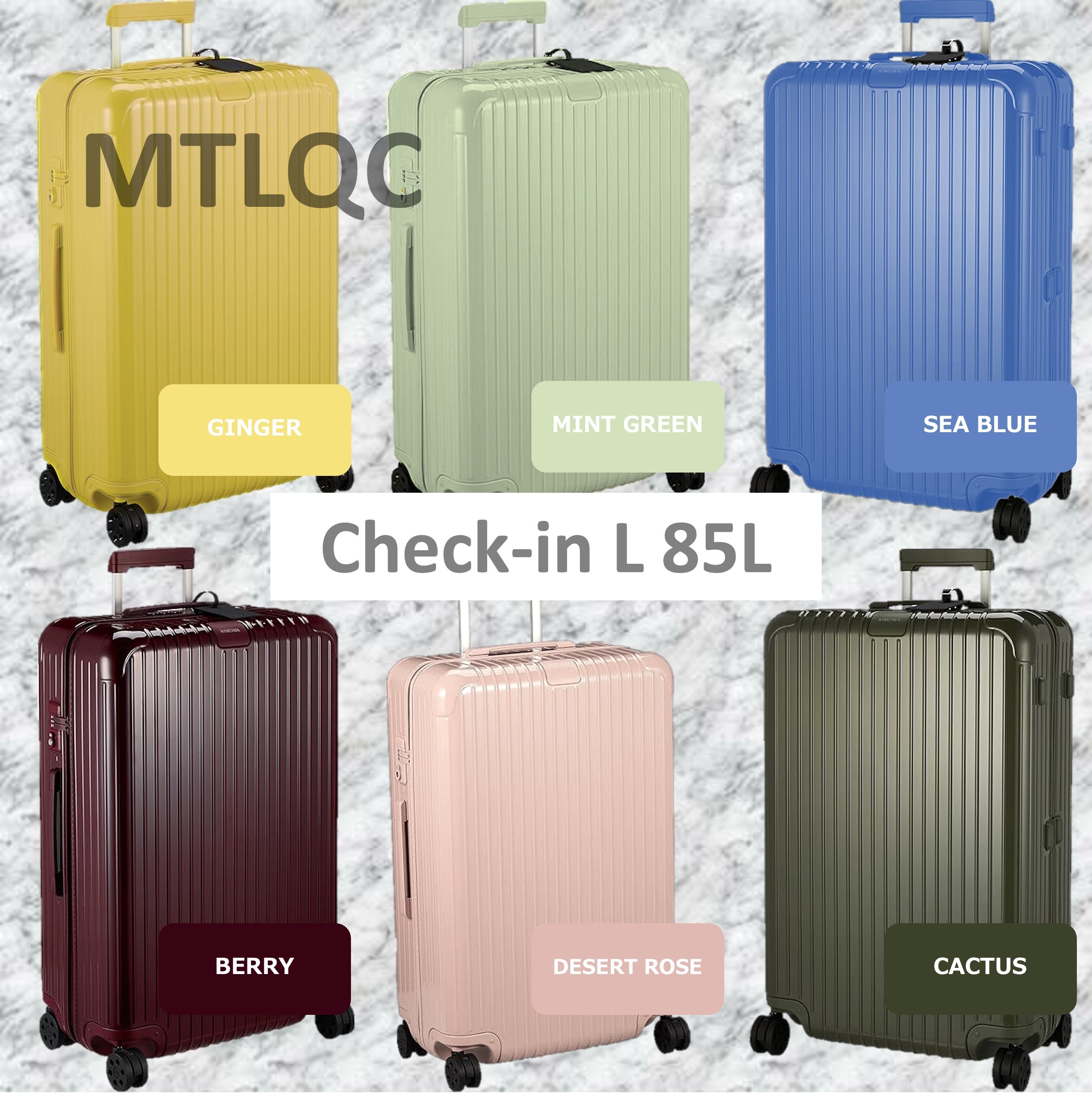 RIMOWA Essential Check-in L リモワ エッセンシャル 85L (RIMOWA