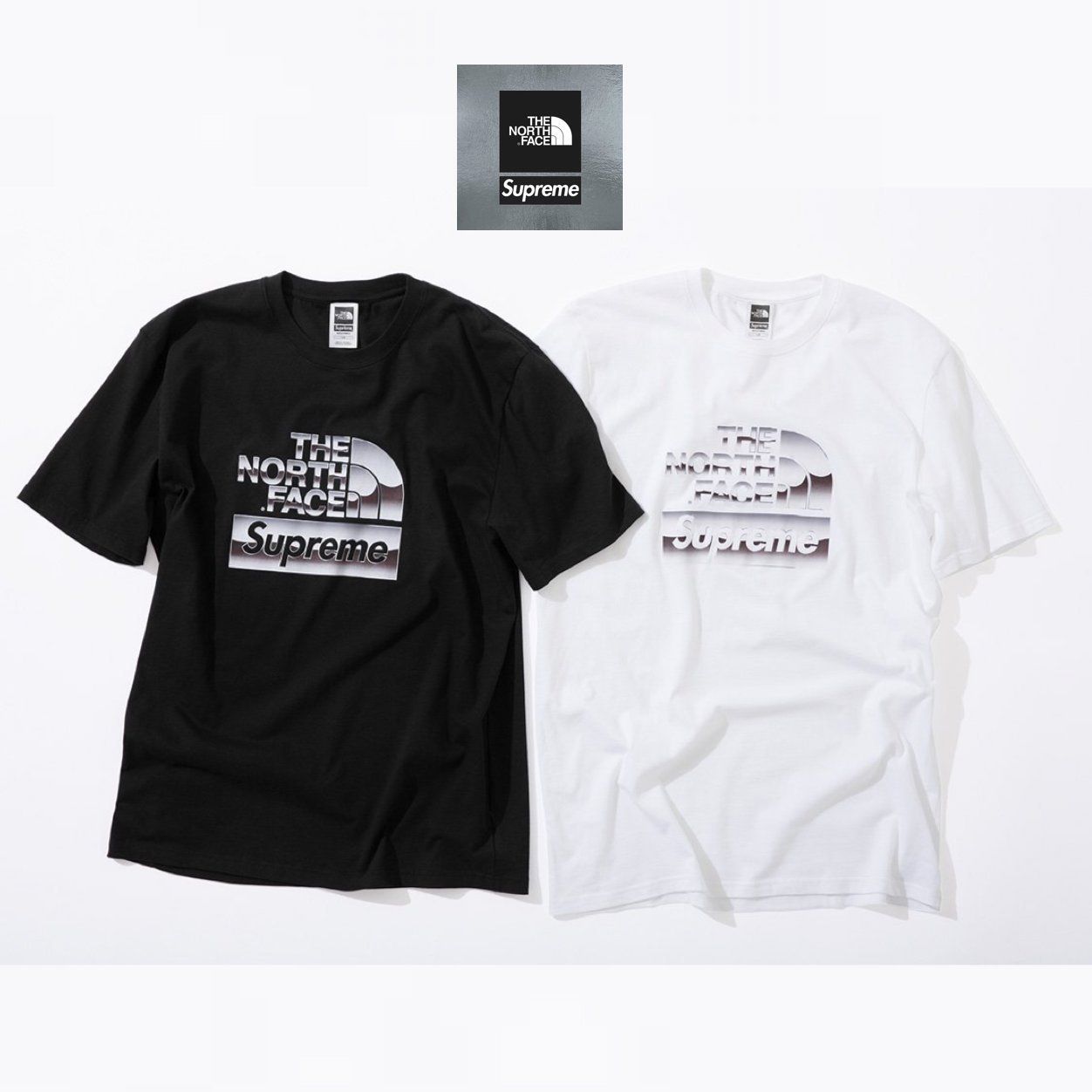 Supreme x TNF Metallic Logo TEE シュプリーム ノースフェイス