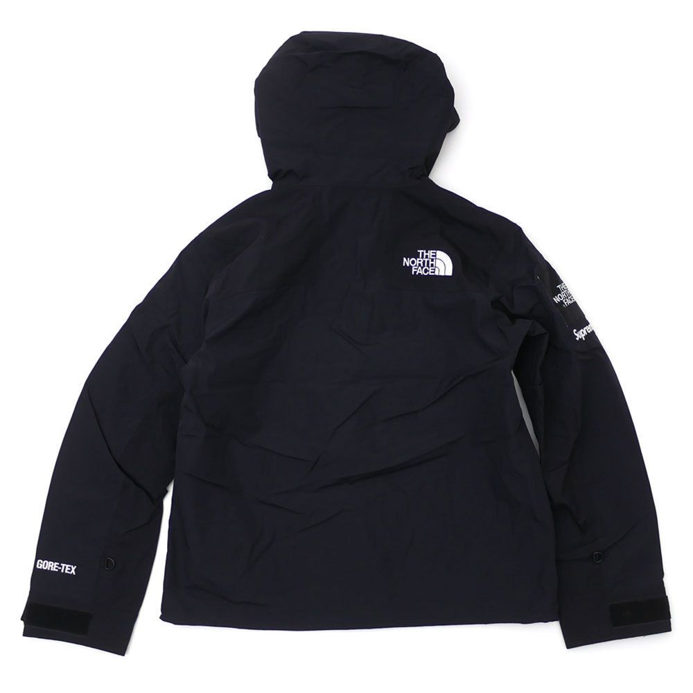 Supreme x North Face Arc Logo Mountain Parka GORE-TEX (Supreme
