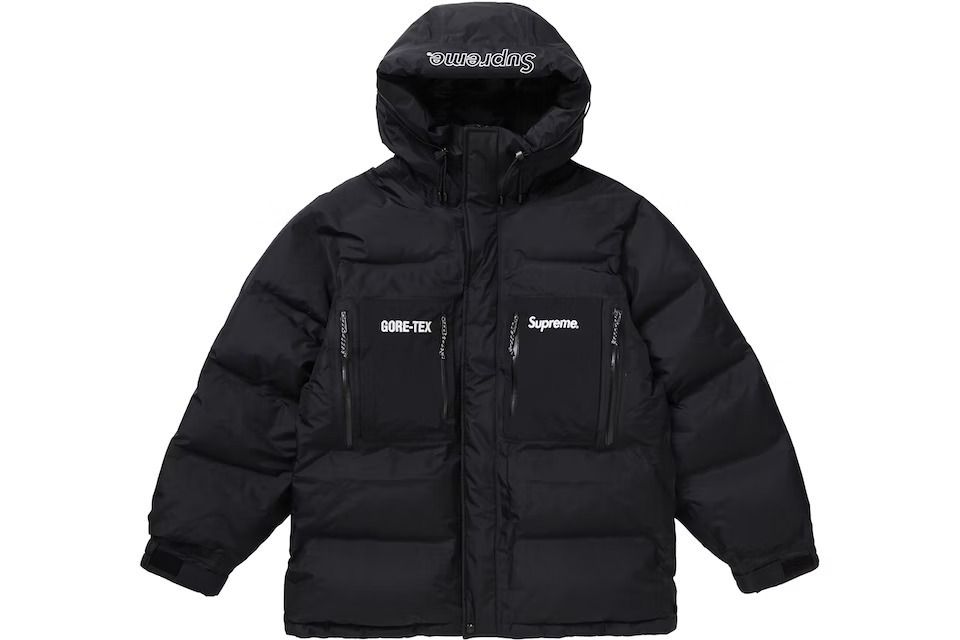 入手困難☆大人気☆送料込 GORE-TEX ゴアテックス ダウン 2019FW
