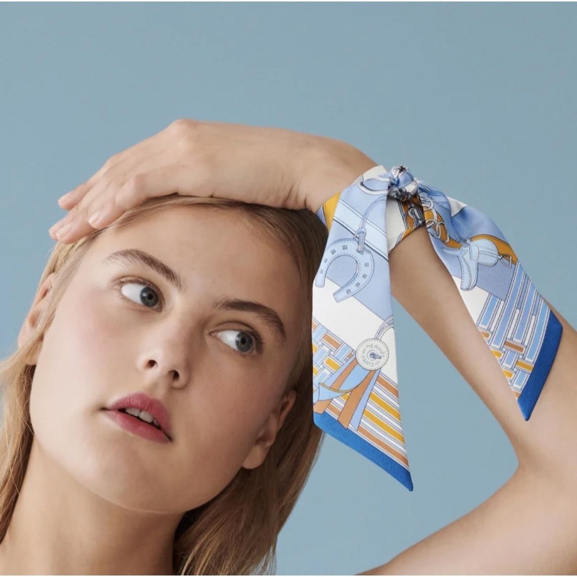 可愛いが詰まってる♪】HERMES Brides et Gris-Gris ツイリー (HERMES