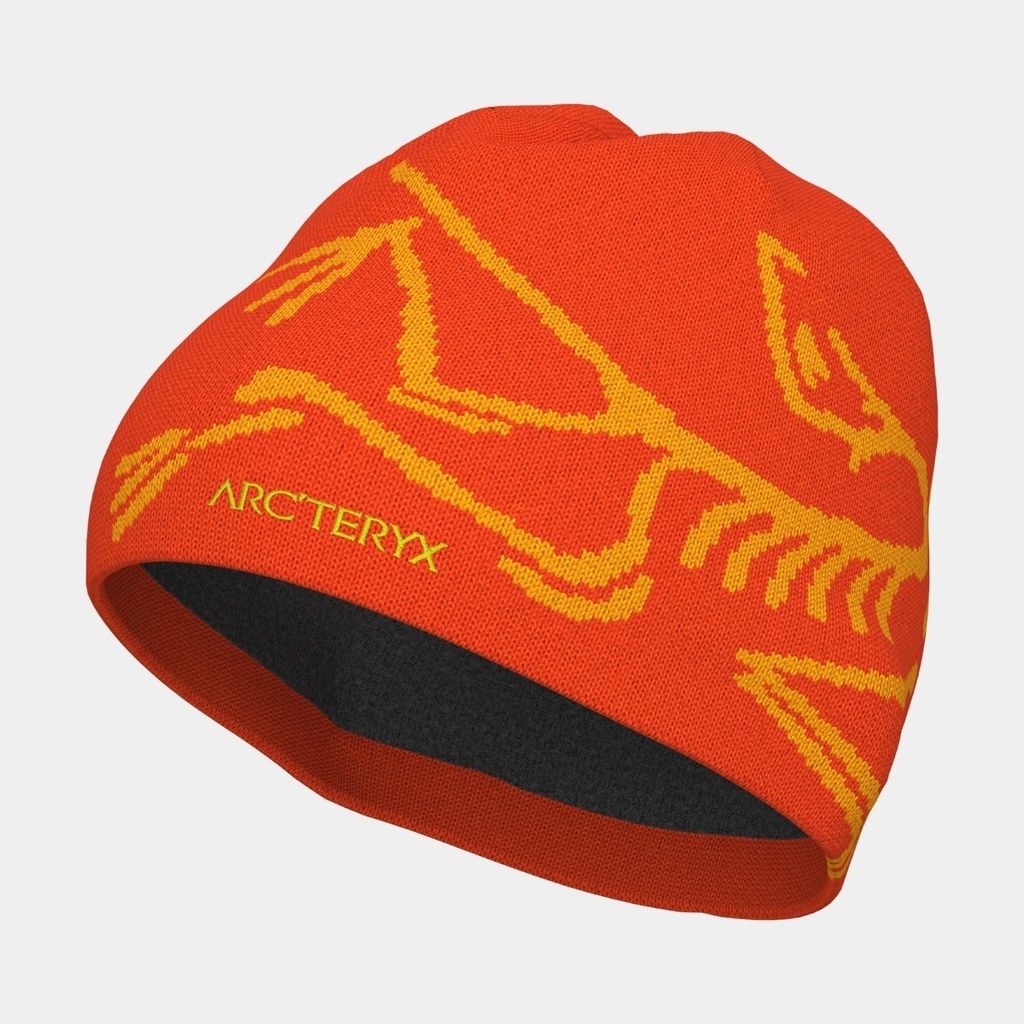 ☆Arc'teryx☆Bird Head Toque☆Solaris Edziza (ARC'TERYX/ニット