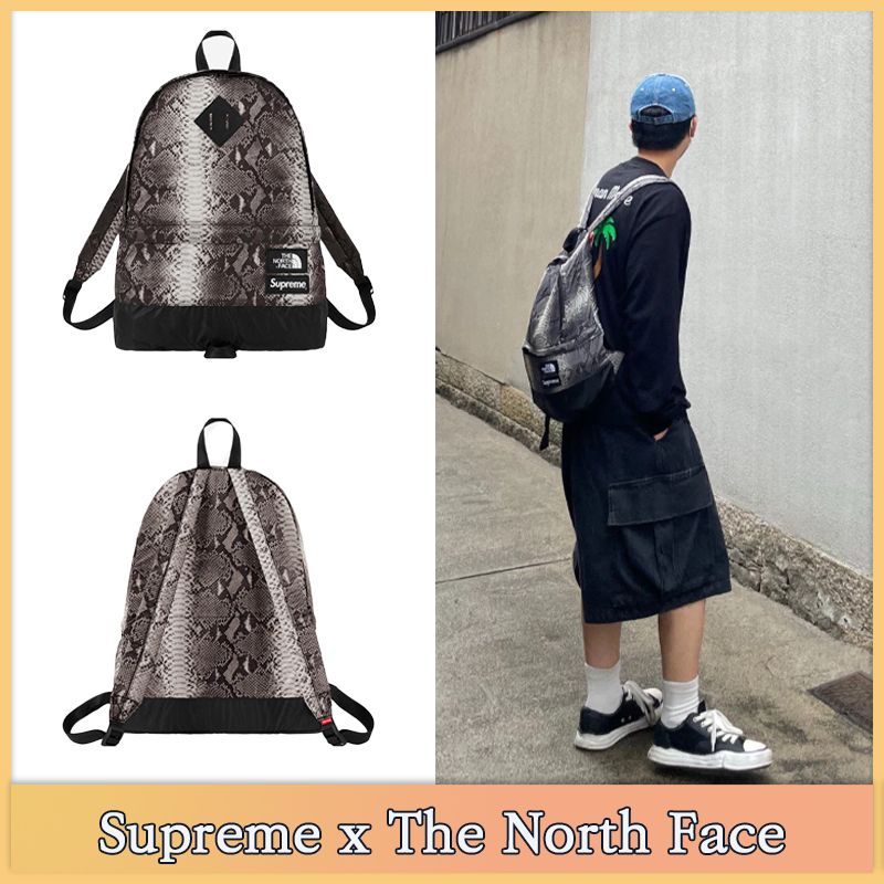 Supreme x The North Face】関税込☆スネークスキンデーパック