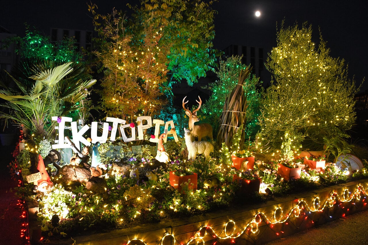 新潟のイルミといえばココ!!】いくとぴあ食花「WINTER ILLUMINATION