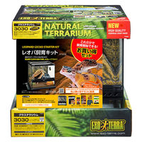 ジェックス エキゾテラ グラステラリウム 3030 爬虫類 飼育