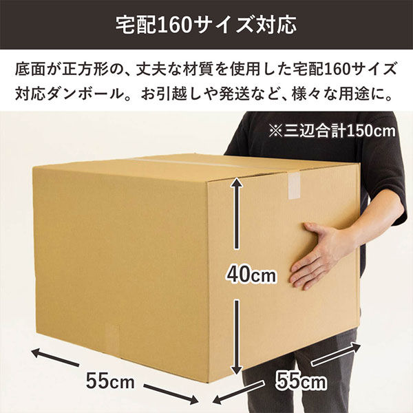 シモジマ 160サイズダンボール 55×55×40cm 4571689032294 1セット（5枚