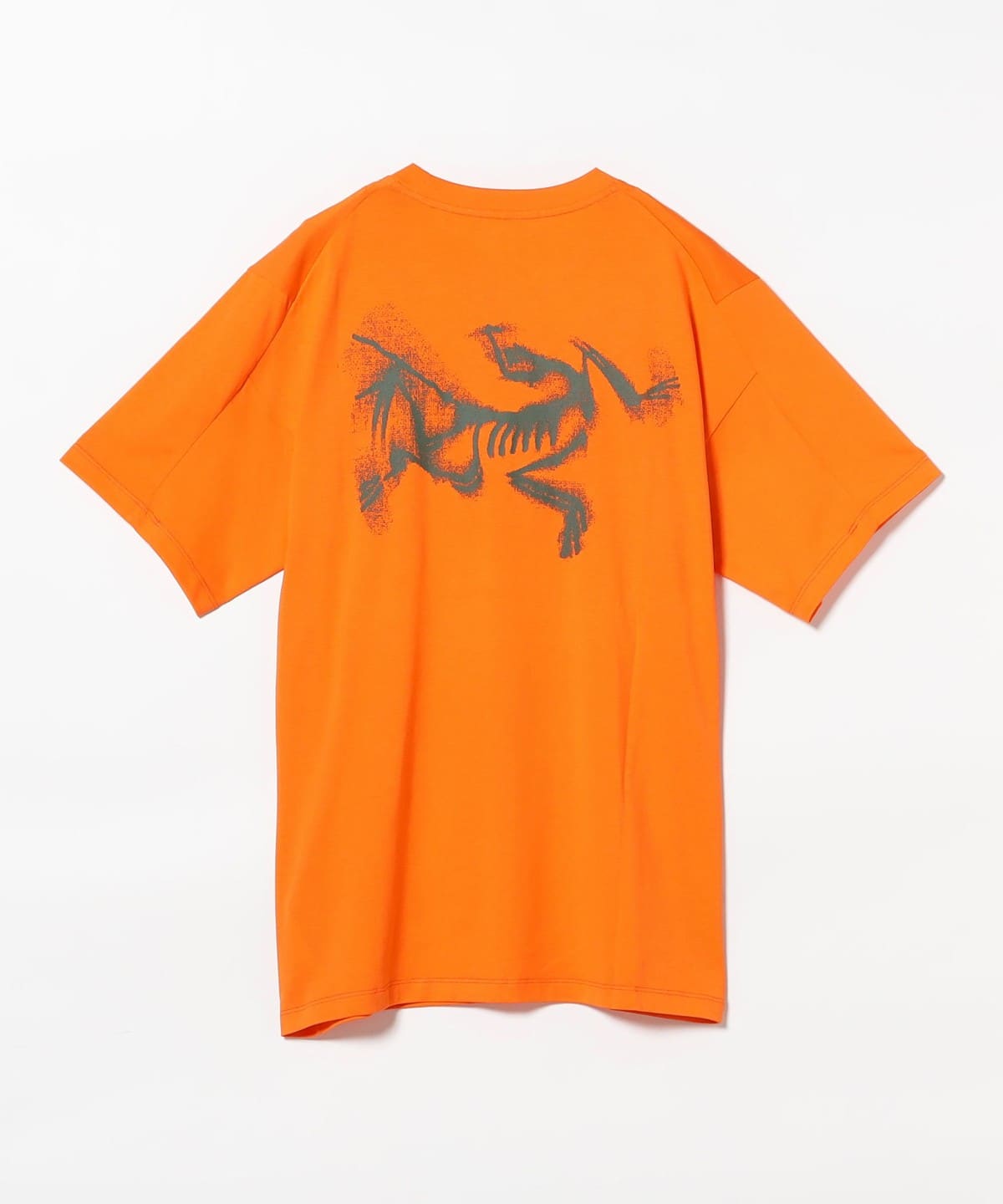 BEAMS（ビームス）ARC'TERYX / Kragg SL Cotton Blurred Bird SS M（T