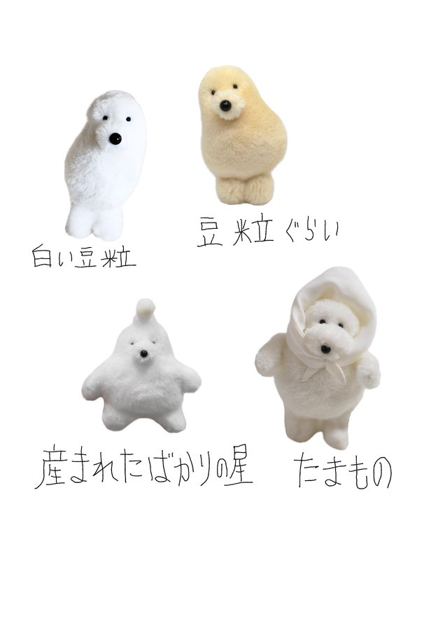 終】12.6 - 12.14 カネヒラ個展「たまもの の ゆめのこと」 - はちみせINFO