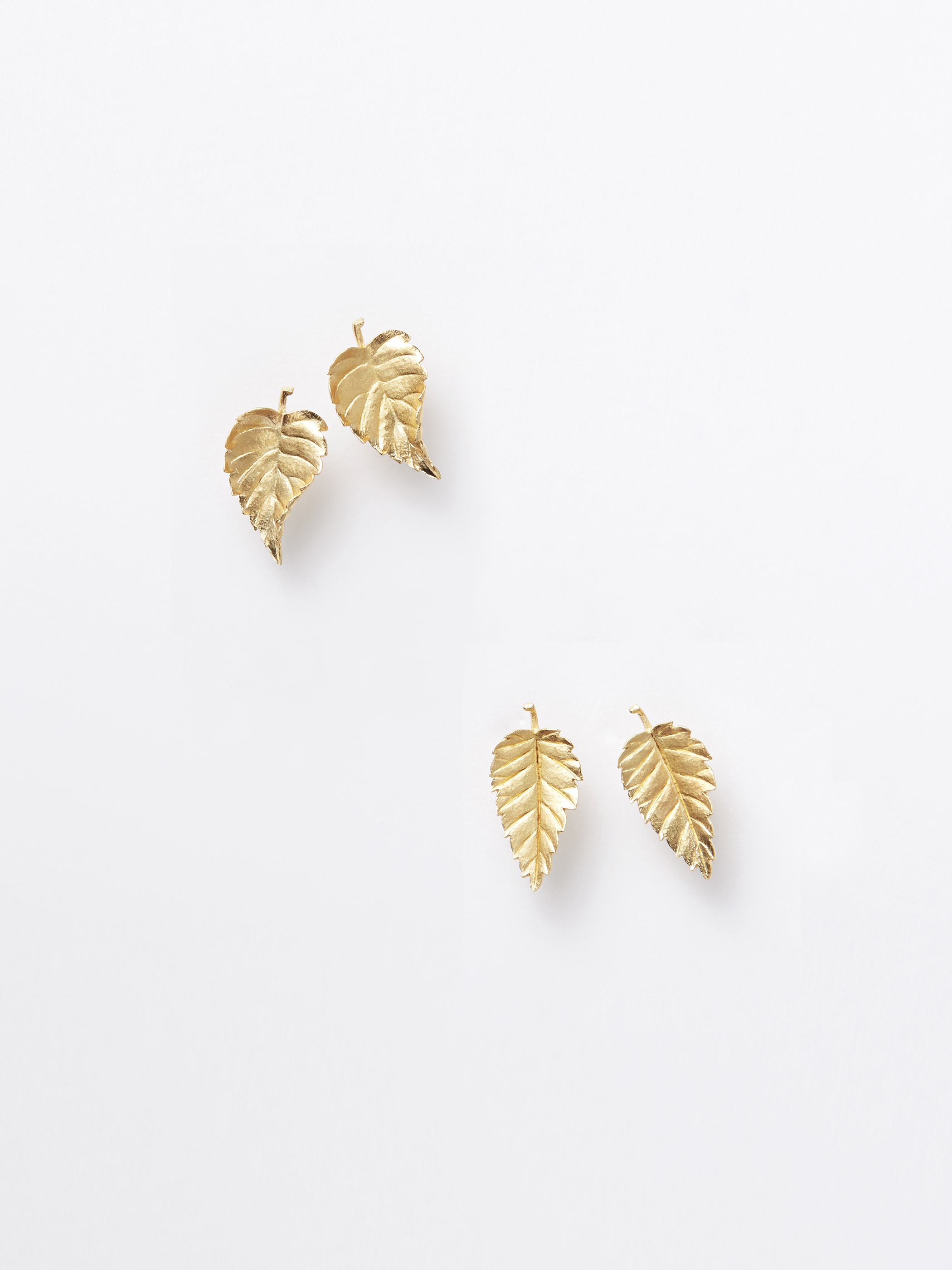 gallery deux poissons online | Wataru Yamazaki / Keyaki / Pierced