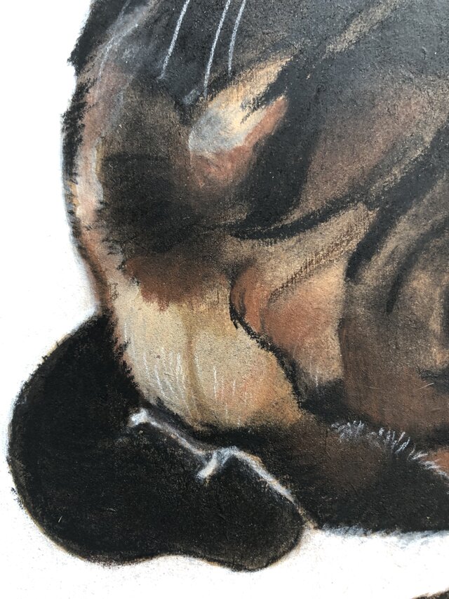 猫イラスト「ムサシ」原画 | iichi 日々の暮らしを心地よくする