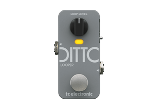 TC Electronic | Series | Ditto Series