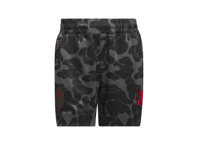 A BATHING APE x adidas Camo Jacquard Pants 