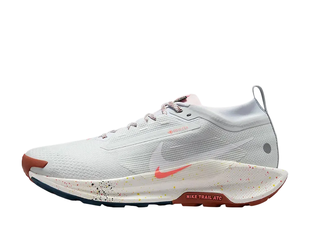 Nike Pegasus Trail 5 GORE-TEX 
