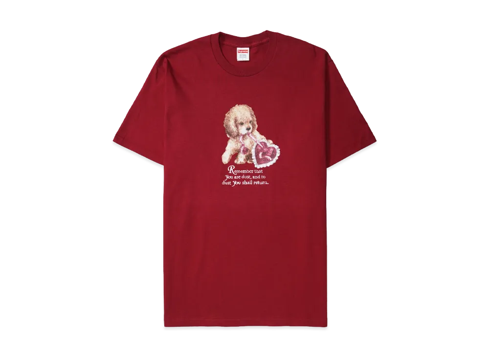 Supreme Dust Tee 