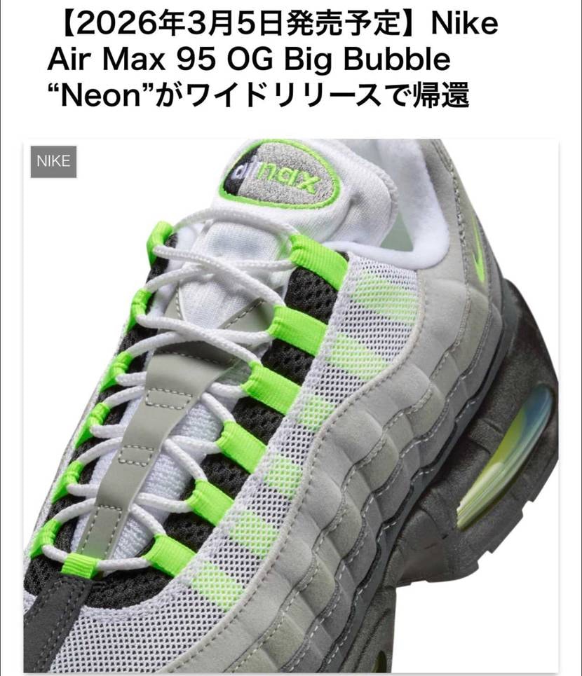 ナイキ エアマックス95 OG 