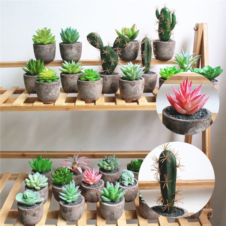 フェイクグリーン 多肉植物 ミニサボテン[品番：FQ000112394]｜PlusNao