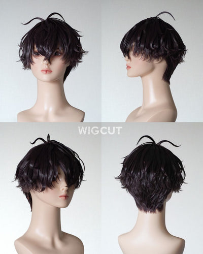 sample – WIGCUT