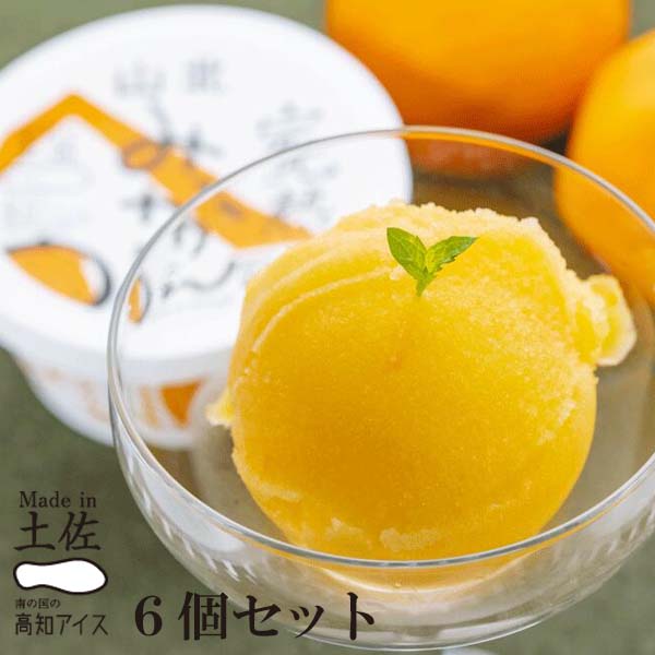 Made in土佐 完熟 山北みかん シャーベット6個 高知アイス ミカン