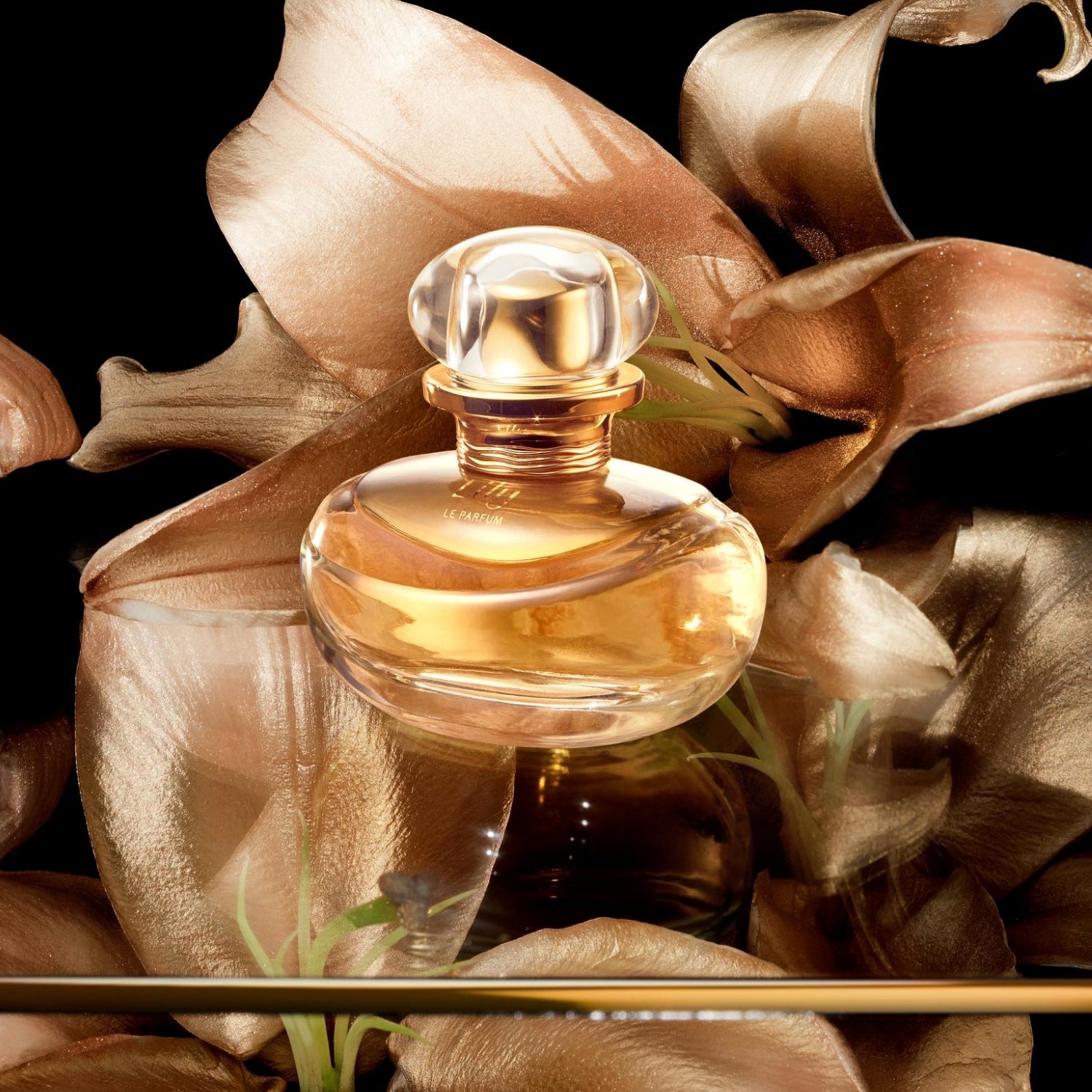 Lily Le Parfum – Exclusive Limited Edition Elegance – O Boticário US