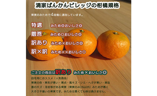 愛媛県産「訳あり 愛媛みかん（S-L）」3kgのお得通販｜Kuradashi