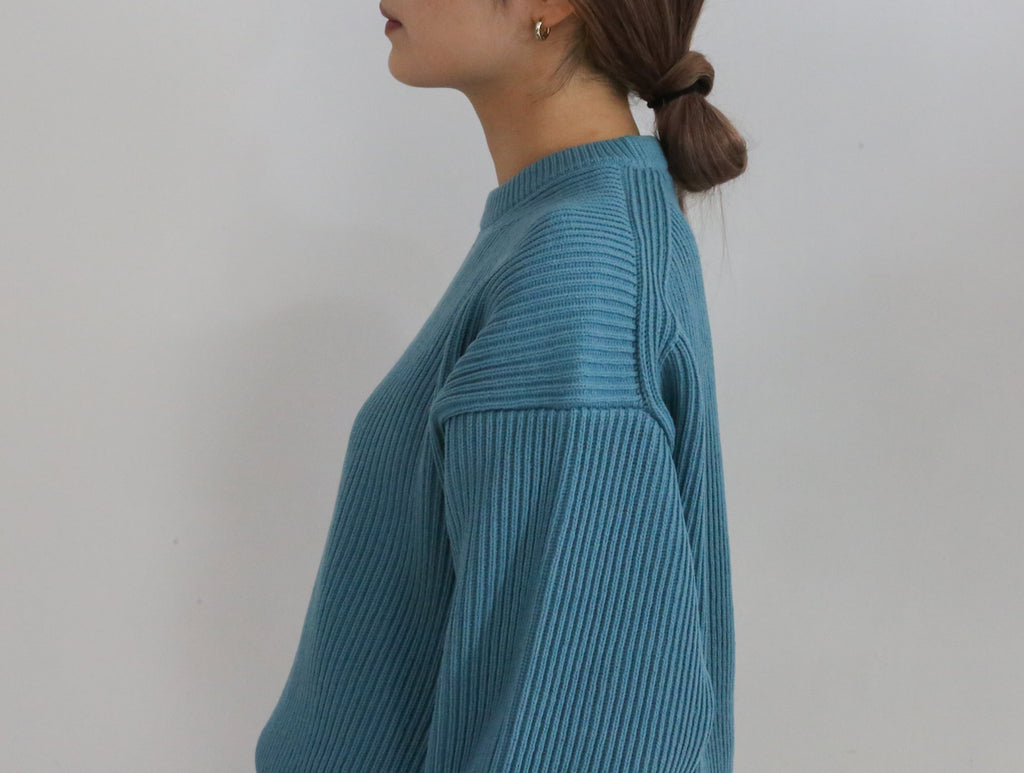 AURALEE SUPER FINE WOOL RIB KNIT BIG P/O – Chum!