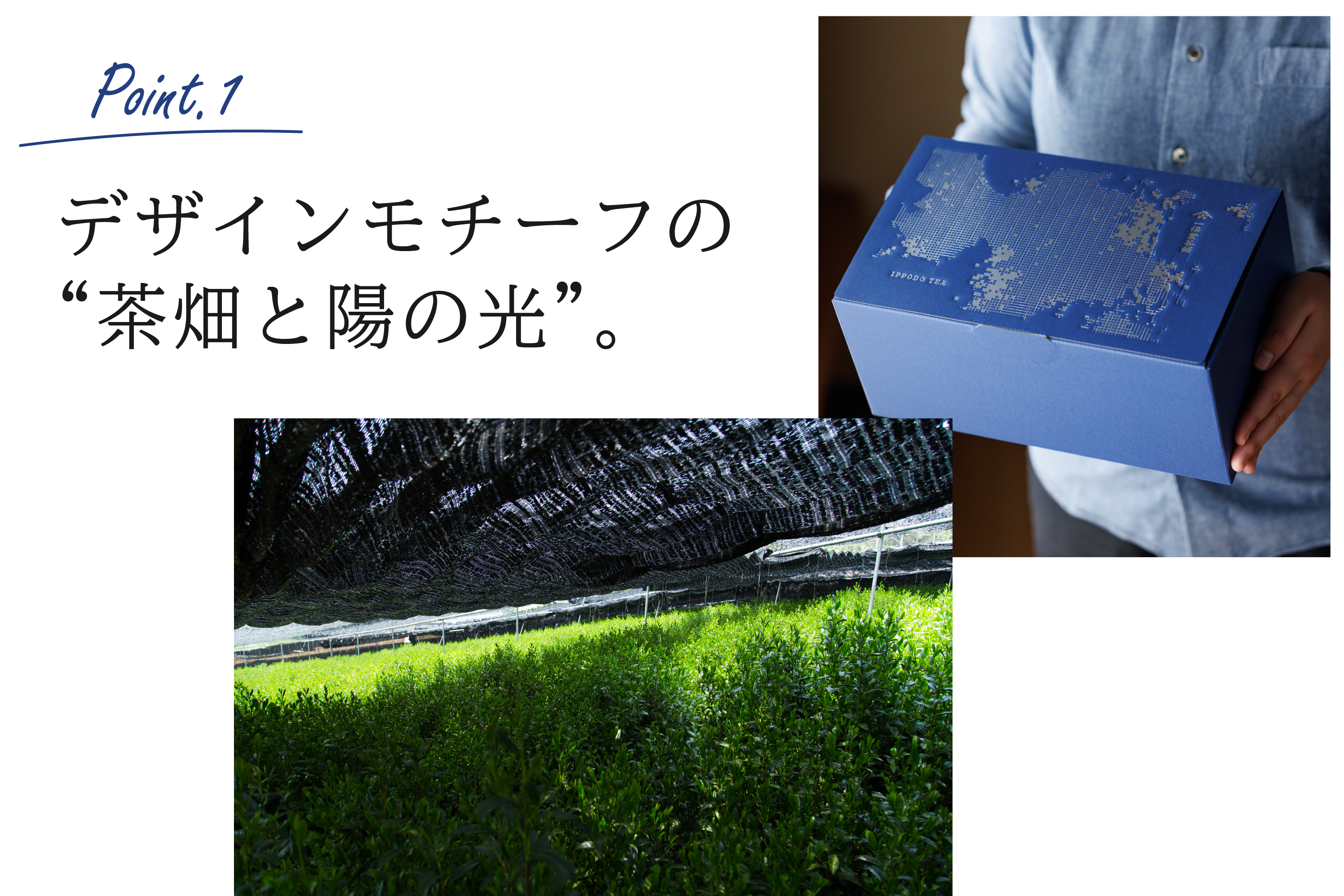 商品】プレゼントボックスが新しくなりました！ – 一保堂茶舗