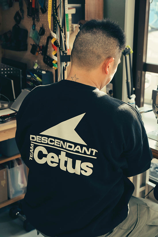 FEATURE 137 – DESCENDANT