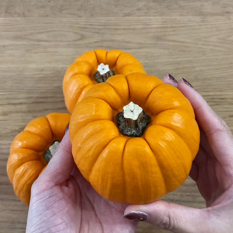 ハロウィン】本物のかぼちゃでつくる！ジャック・オー・ランタンの