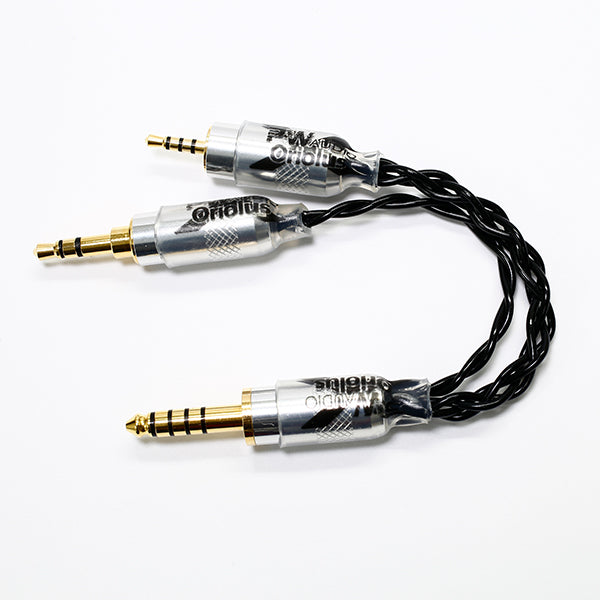 HIFIMAN BlueMINI R2R – e☆イヤホン